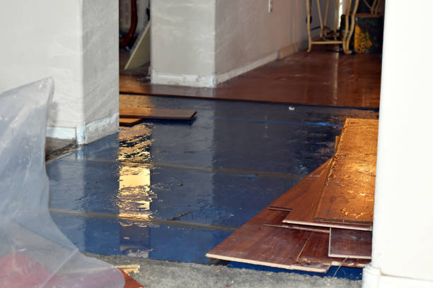 Professional Water Damage Restoration technician working in Beulah, ND